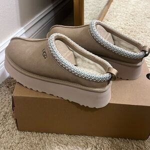 Brand new UGG Tazz slippers